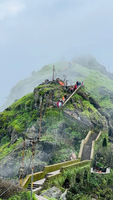 Lost and Found in Junagadh - Track And Claim