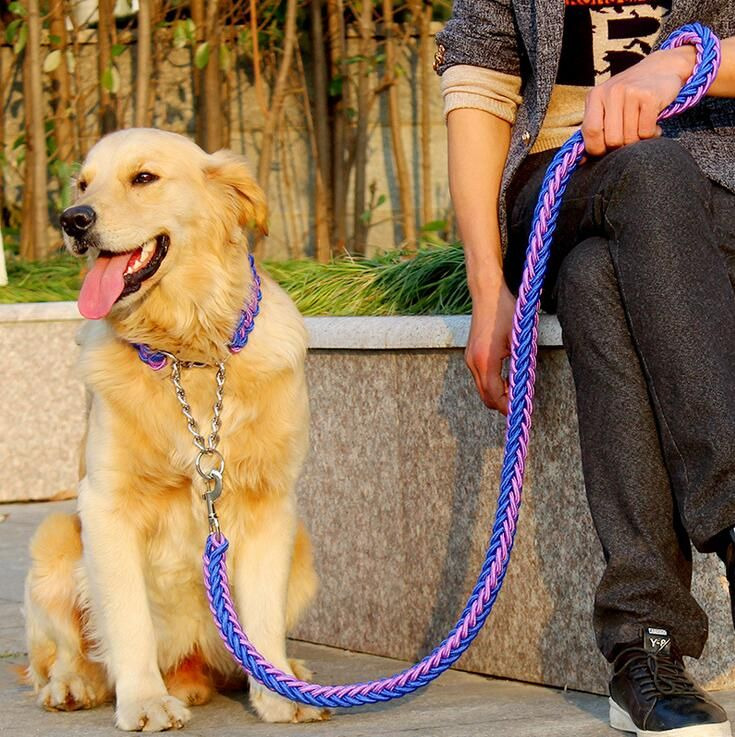 Lost Pet Collar – Adjustable Nylon in Surat - Track And Claim