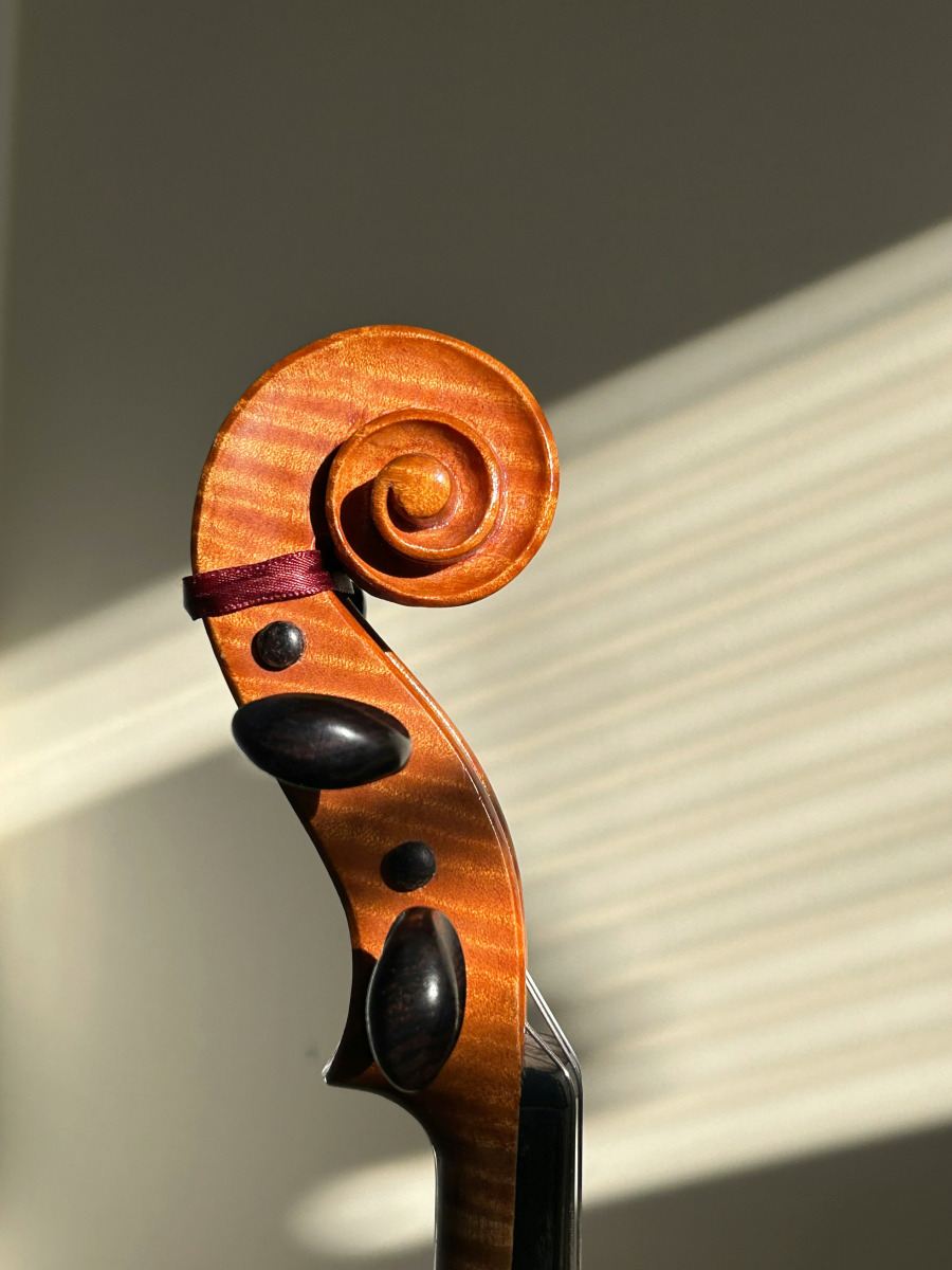 Found violin in Surat - Track And Claim